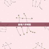 属相八字婚配，生辰八字是否婚配