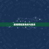 属相婚配属兔的与属虎，属虎和属兔相配吗