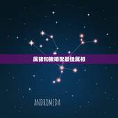 属猪和猪婚配最佳属相，生肖猪跟什么最配，属猪的属相婚配表