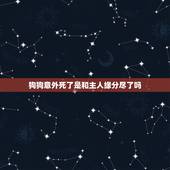 狗狗意外死了是和主人缘分尽了吗，狗狗头七怎么过？