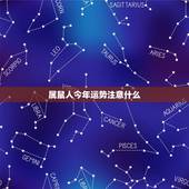 属鼠人今年运势注意什么，属鼠今年运势