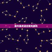 属牛属虎适合做夫妻吗，牛年虎禁婚吗