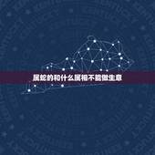 属蛇的和什么属相不能做生意，属蛇和什么属相在一起做生意好