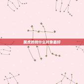 属虎的找什么对象最好，属虎和什么属相最配