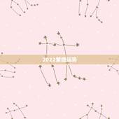 2022紫微运势，2022年十天干运势