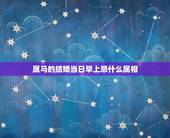 属马的结婚当日早上忌什么属相，属马结婚禁忌什么属相