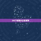 2021年属什么生肖年，生虎宝宝好不好2022年