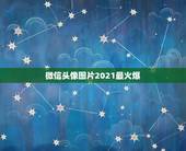 微信头像图片2021最火爆，微信用什么头像最吉利？
