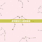 蛇和猪生什么属相宝宝，属猪和属蛇的适合生什么生肖的孩子