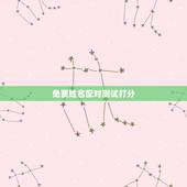 免费姓名配对测试打分，姓名配对免费测姻缘