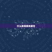 什么属相跟龙最合，属猪男和属兔合不合