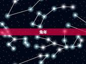 兔年，兔年和猪年的人相配吗？