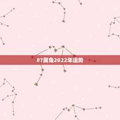 87属兔2022年运势，属兔的在2022年的全年命运如何