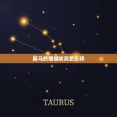 属马的婚姻状况怎么样，属马男今年的婚姻状况会是怎么样呢
