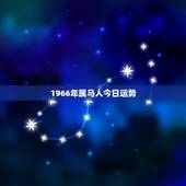 1966年属马人今日运势，1966年属马的女子今年财运好不好