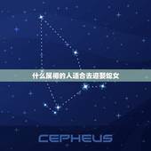 什么属相的人适合去迎娶蛇女，属蛇的人和什么属相的人最般配？