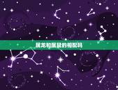 属龙和属鼠的相配吗，属鼠与属龙的婚姻合吗