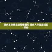 属虎本命佛是哪尊佛图片 属虎人永远最旺的颜色