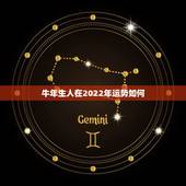 牛年生人在2022年运势如何，属兔人在牛年的运势
