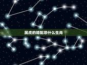 属虎的婚配忌什么生肖，属虎和什么属相不配