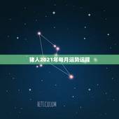 猪人2021年每月运势运程，属猪人2021年每月运势