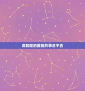 虎和蛇的属相共事合不合，属蛇人和属虎人能一起合作共事吗？