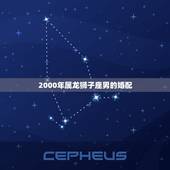 2000年属龙狮子座男的婚配，属龙狮子座的男人