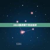 2022属虎哪个月出生好，2022 年属牛几月出生好