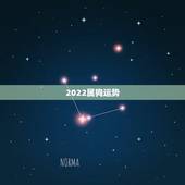 2022属狗运势，2022 年属猪运势