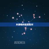 夫妻相的脸型配对，什么是夫妻相？