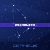 鸡狗属相婚配相克吗，鸡和狗相配相冲是迷信吗
