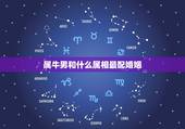 属牛男和什么属相最配婚姻，属马男和什么属相最配