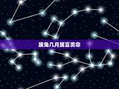 属兔几月属富贵命，75年属兔47岁有一灾