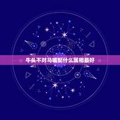 牛头不对马嘴配什么属相最好，牛头不对马嘴配中正码是什么生肖？