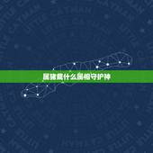 属猪戴什么属相守护神，属猪的守护神是什么