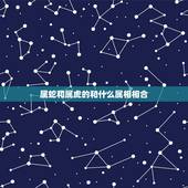 属蛇和属虎的和什么属相相合，属虎的和属蛇的合的来吗