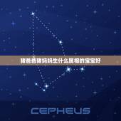 猪爸爸猪妈妈生什么属相的宝宝好，妈妈属猪，爸爸属鼠，生什么生肖的宝宝好