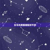女马与男猴婚配好不好，男马女猴的婚配好不好