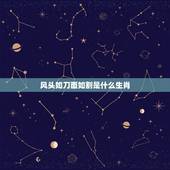 风头如刀面如割是什么生肖，风头如刀面如割 是什么意思