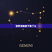 塔罗测他放下我了么，塔罗测试他怕失去我吗
