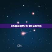 七九年属羊的2021财运怎么样，79年属羊2021年每月运势