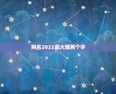 网名2022最火爆两个字，2022年更流行的网名