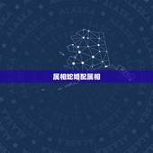 属相蛇婚配属相，属相蛇配对什么属相