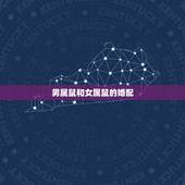 男属鼠和女属鼠的婚配，属相婚配：男属龙和女属鼠相配吗