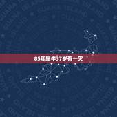 85年属牛37岁有一灾 85年属牛人37岁如何化解劫难