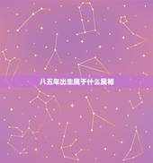 八五年出生属于什么属相，属猪的女孩几点出生好