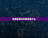 和属鼠相冲的属相是什么，属猴2022 年运势及运程