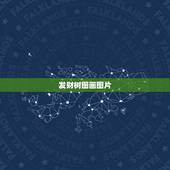发财树图画图片，求救发财树