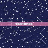 射手座下月的运势，求射手座下月运势