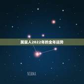属鼠人2022年的全年运势，2023年属鼠人的全年运势详解